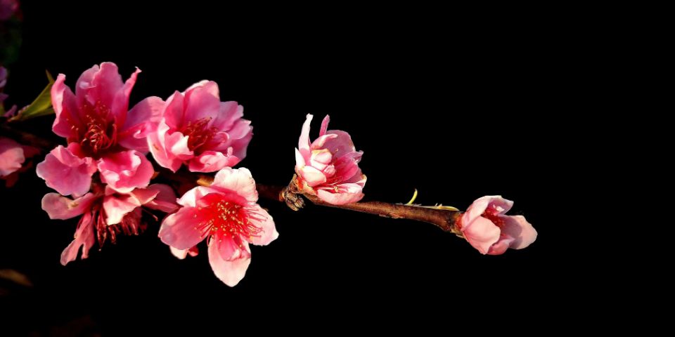 QQ图片20200304193712.jpg