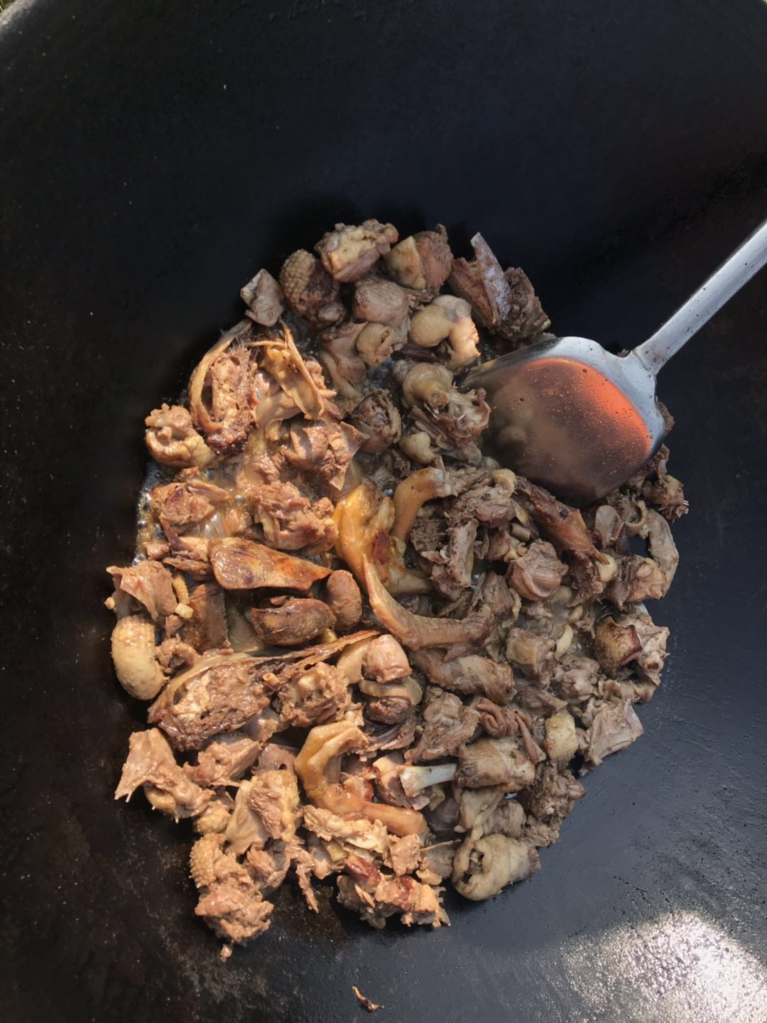 这是可以飞的鸭子，