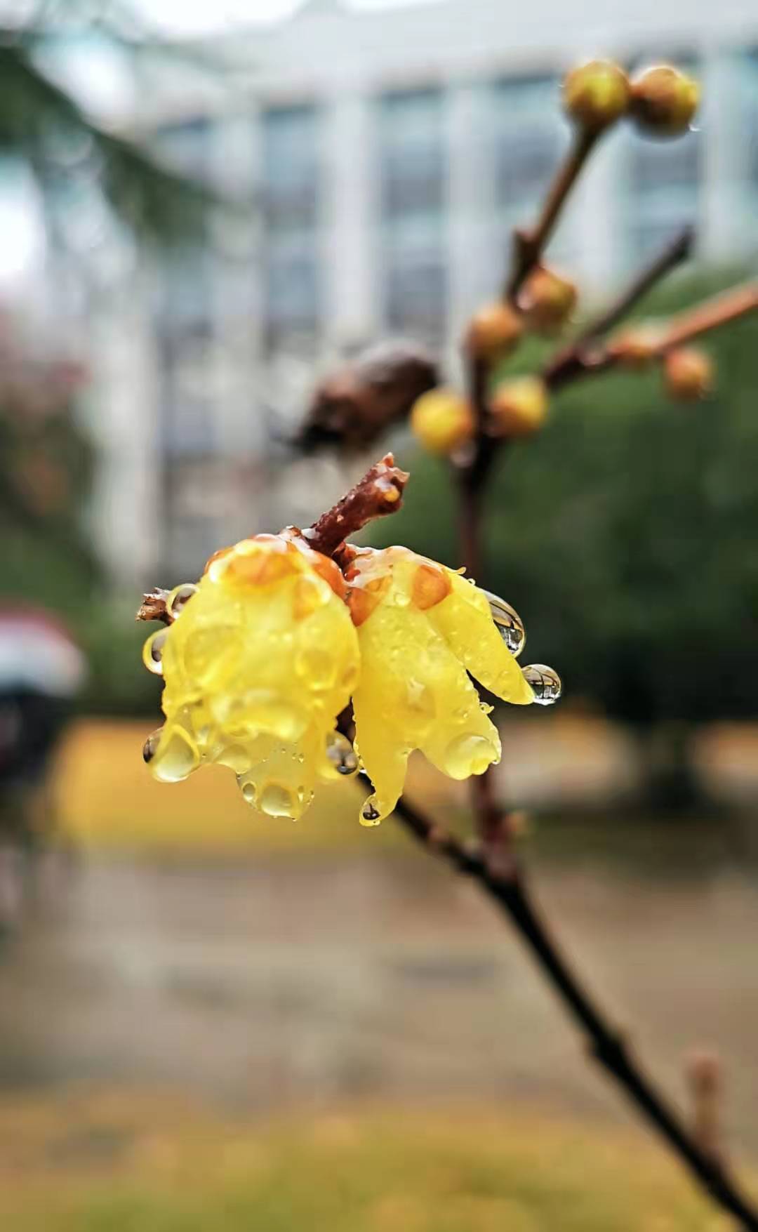 微信图片_20201229210528.jpg