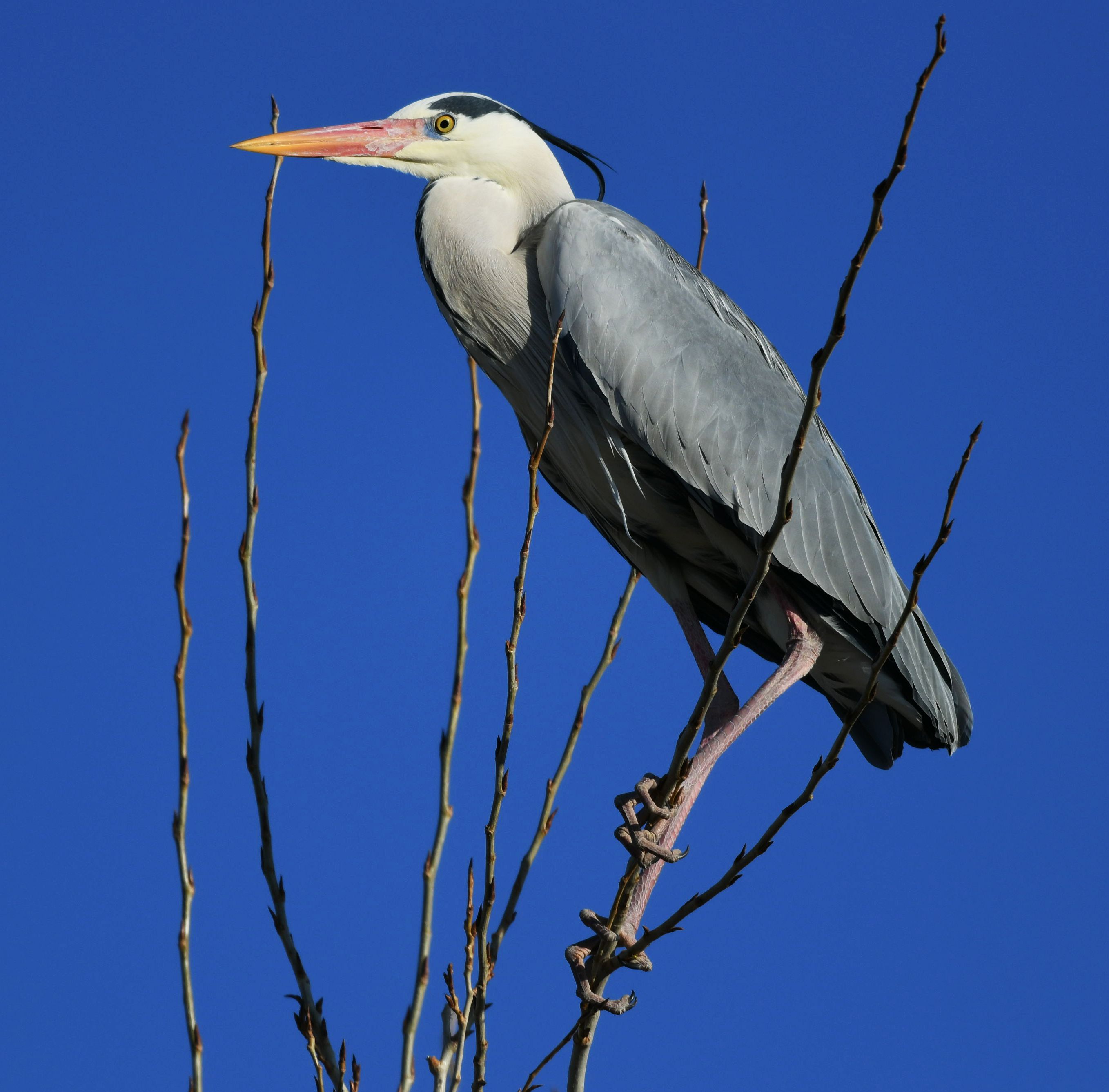 DSC_1317_副本.jpg