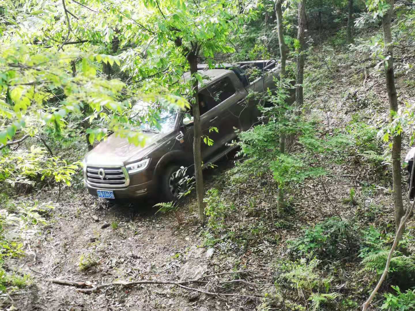 d4346386103835356cf48cc7b8e390a.jpg