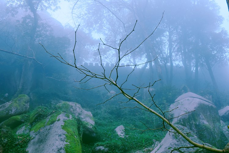 DSC_3997.JPG