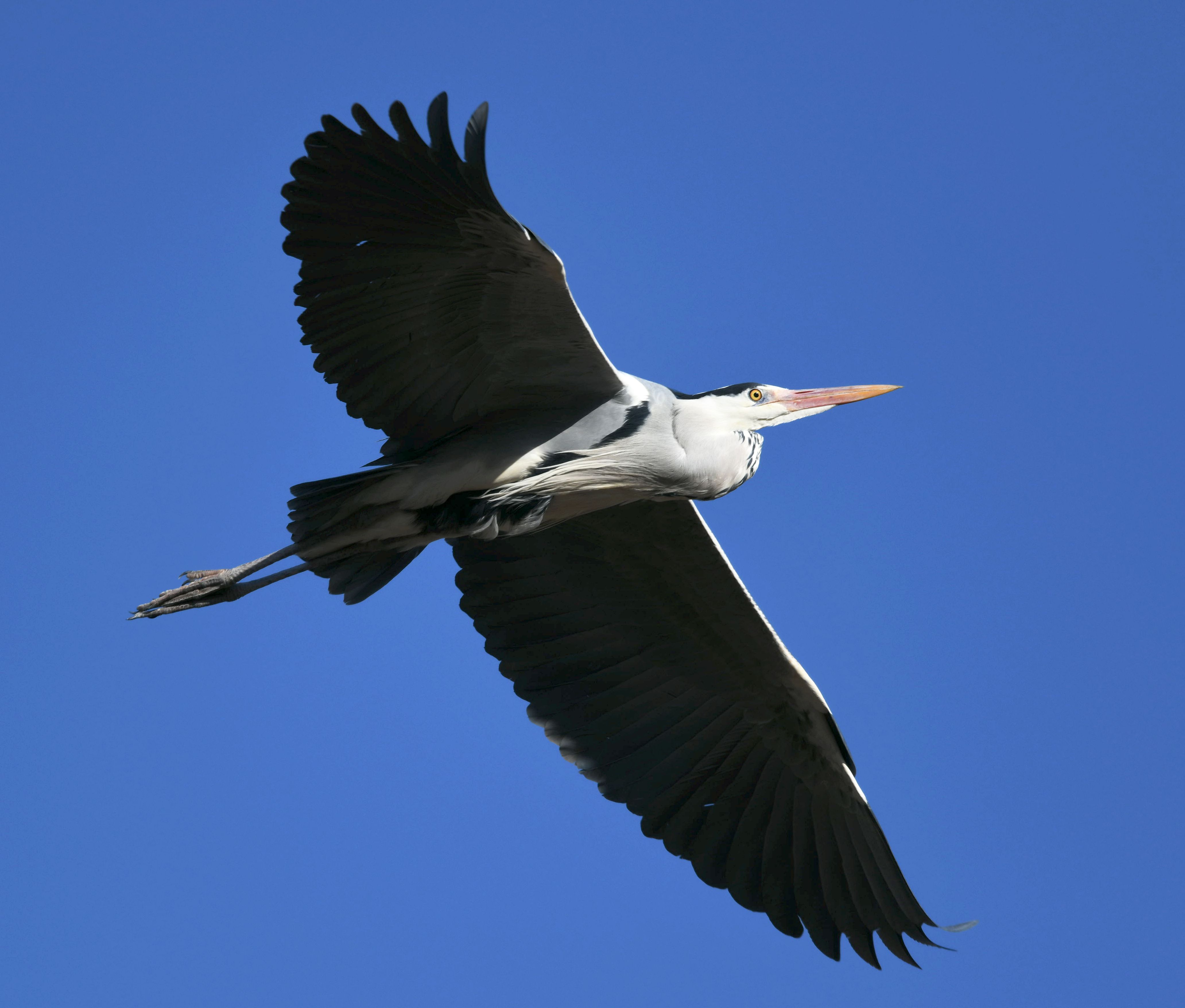 DSC_1022_副本.jpg