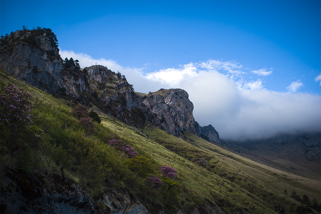 _DSC2954.jpg