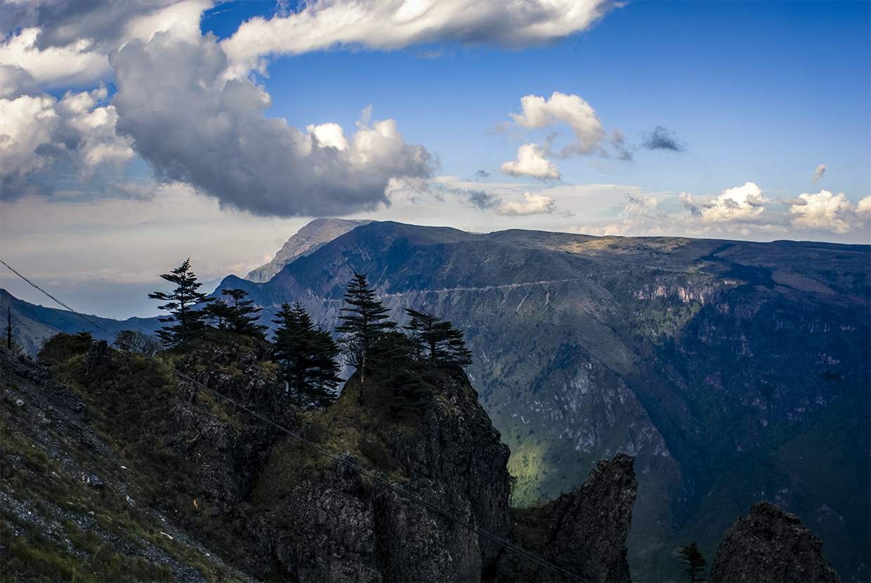 _DSC2953.jpg