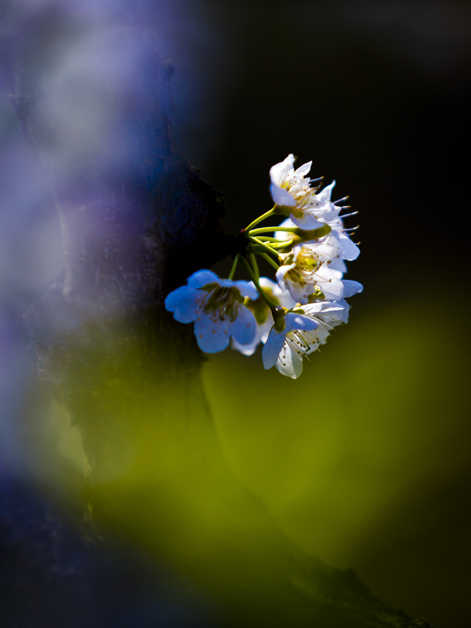 _MG_2104.jpg