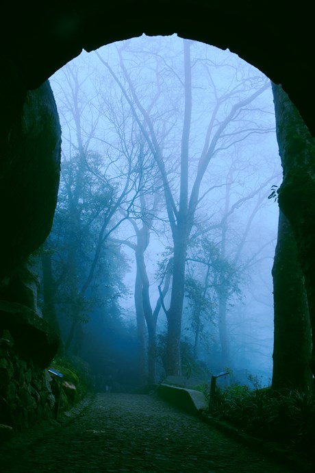 DSC_4016.JPG