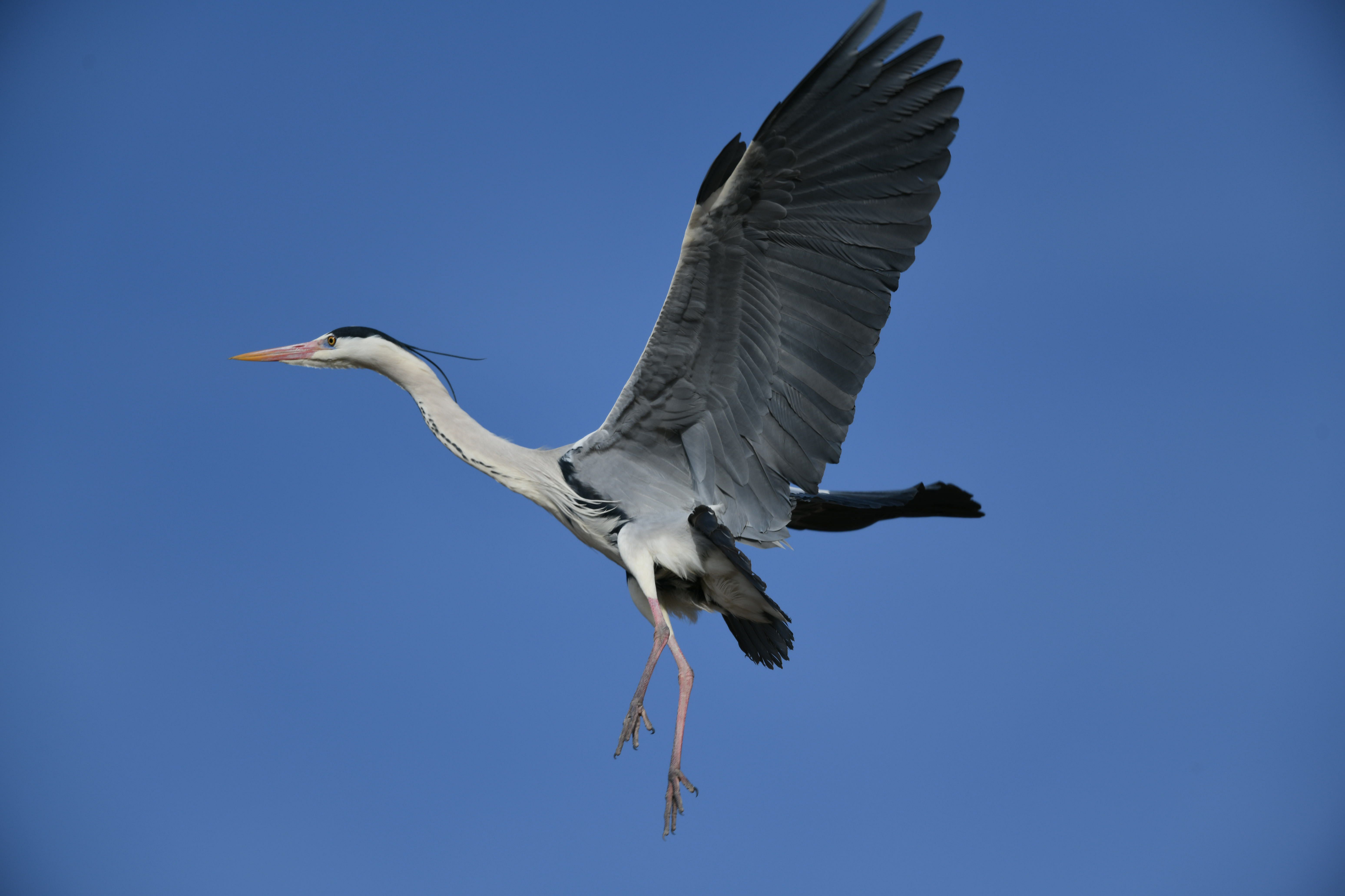 DSC_3132_副本.jpg