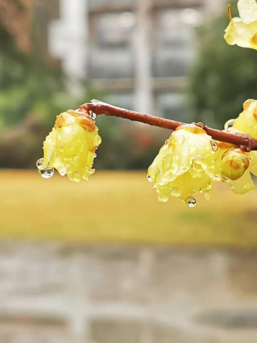 微信图片_20201229210545.jpg