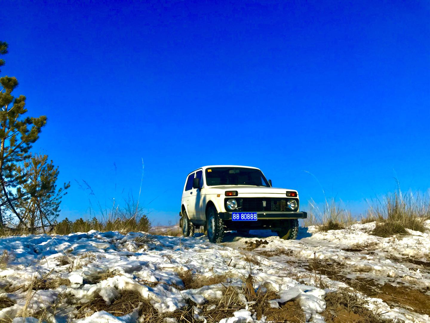 560f24997e81aa39f44347029b84a4b.jpg