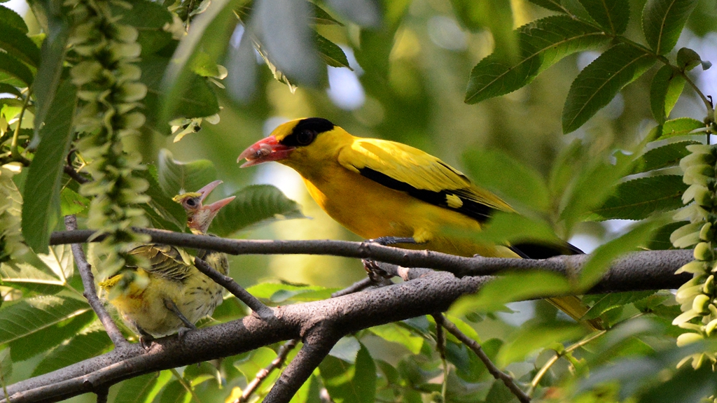DSC_6426_副本.jpg