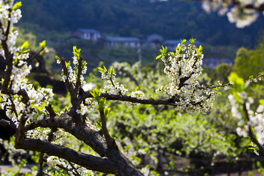 _MG_2092.jpg