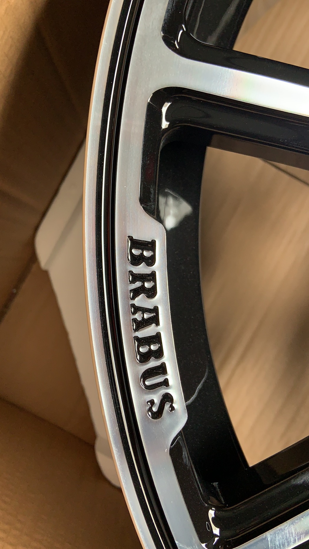 G BARBUS 20-24“ (3).jpg