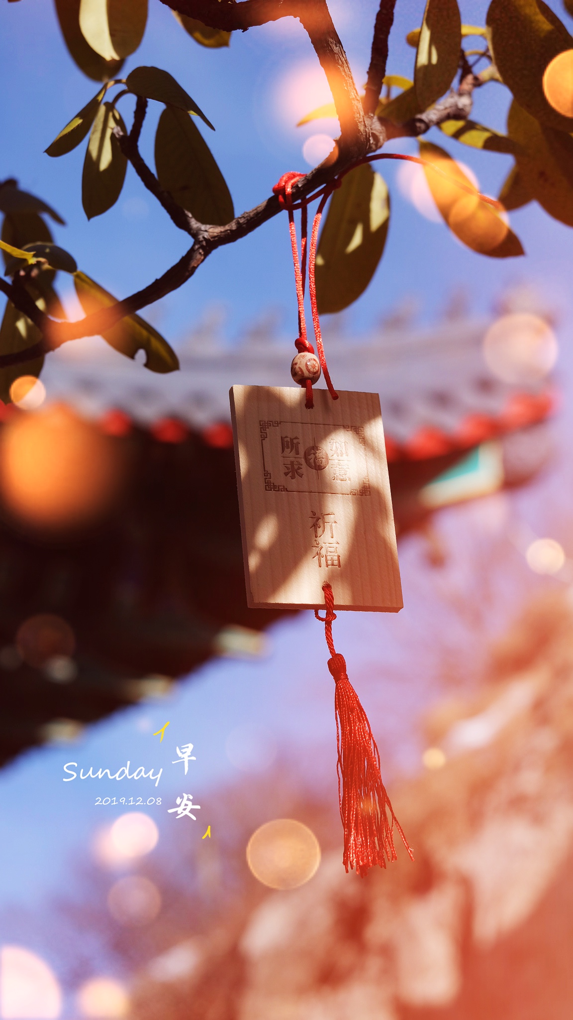2019_12_08_22_58_8DF5CC03-4077-48A0-88C9-F0AA7CEAEC19.JPG