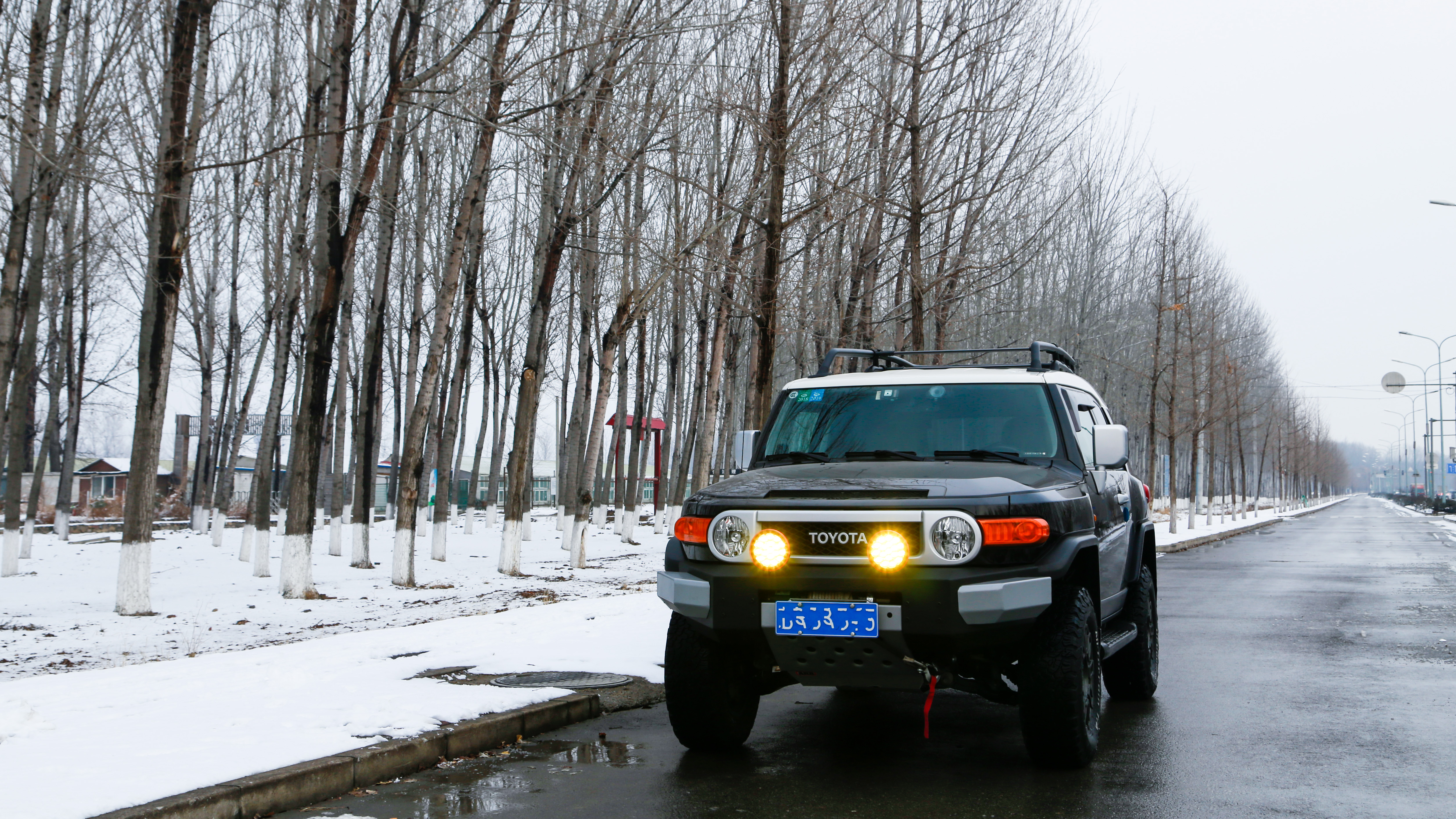 _MG_1215.jpg