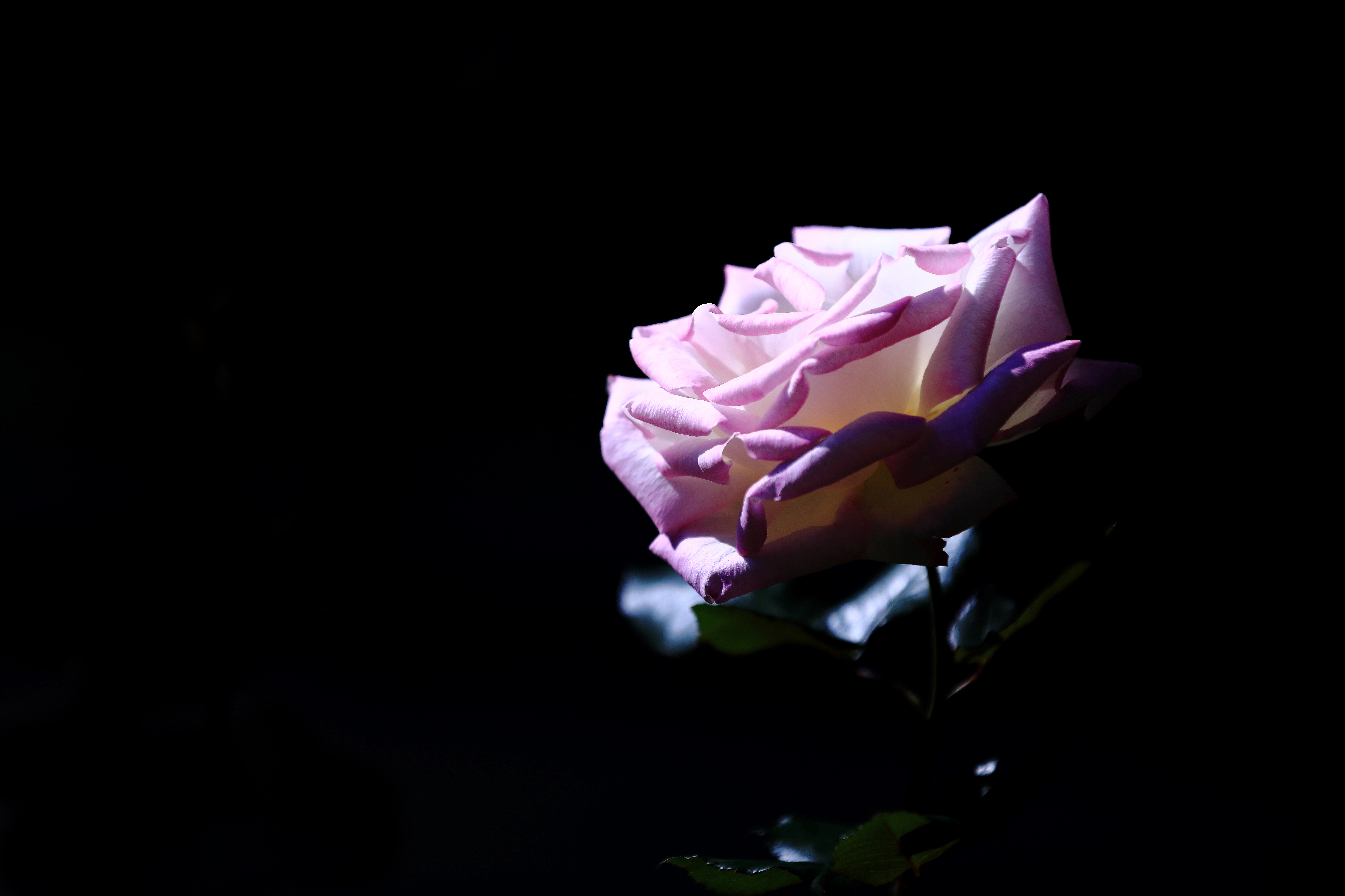5F2A6888.JPG