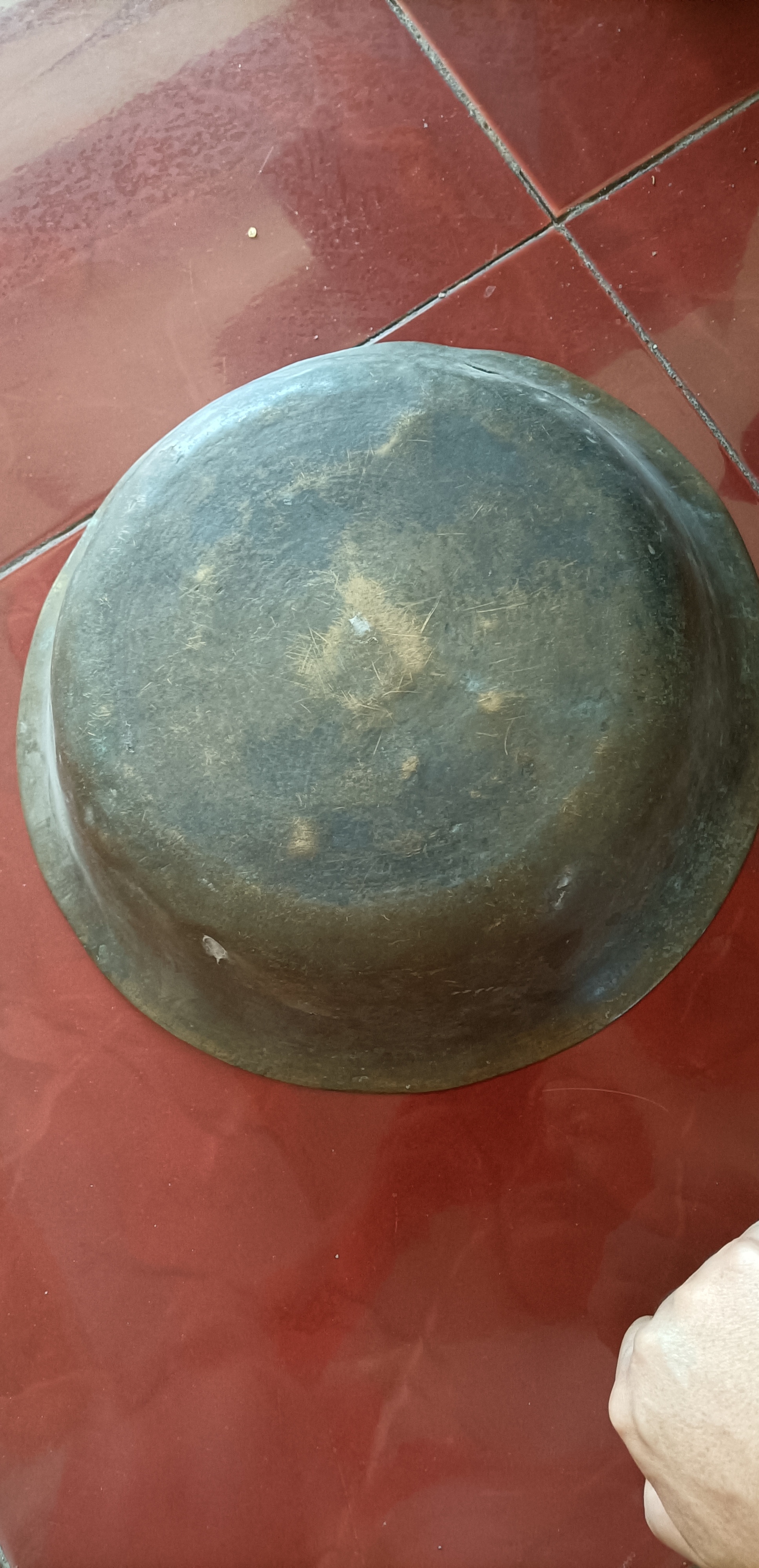 Image_1729318529438.jpg