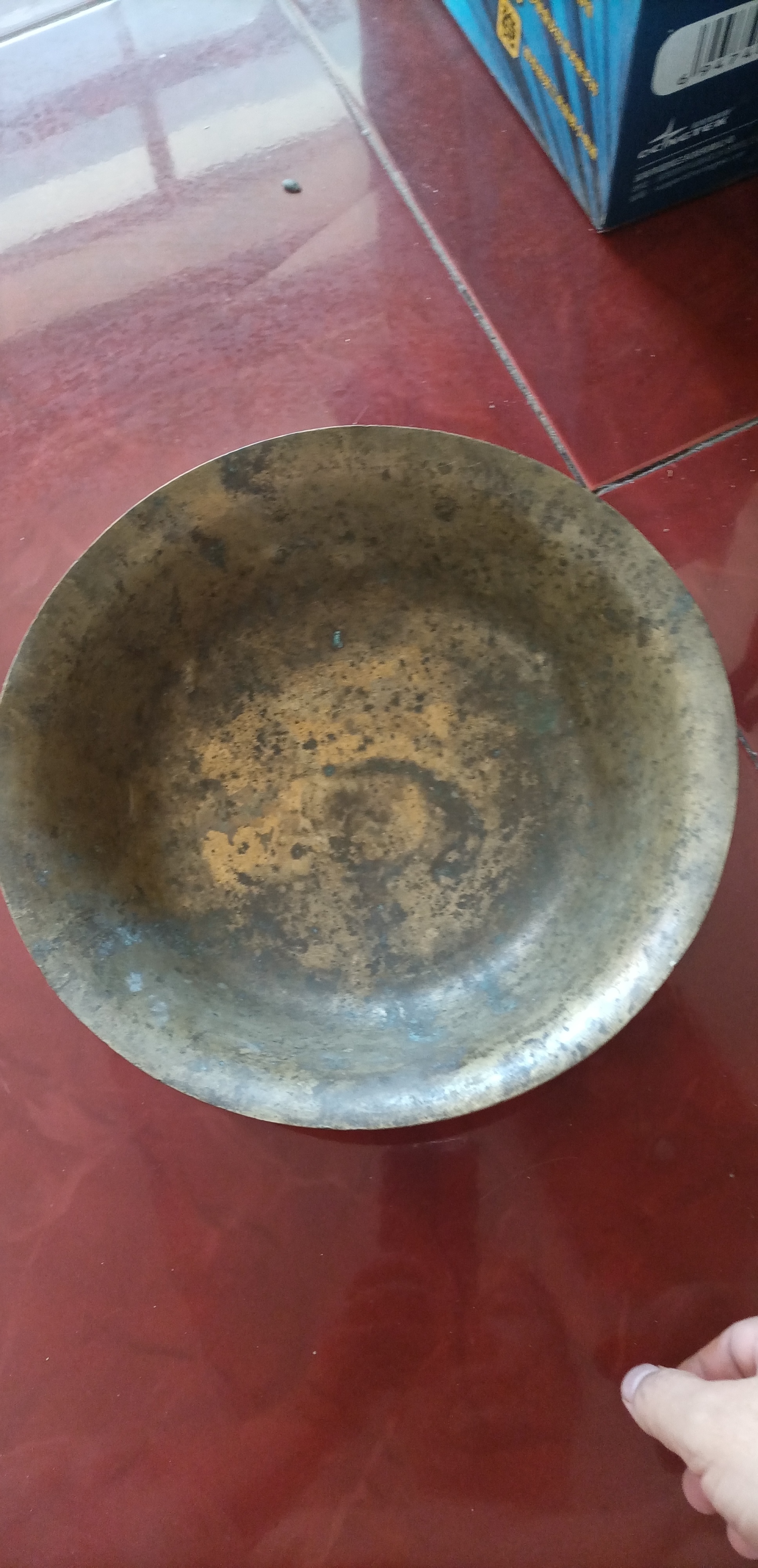 IMG_20241019_141000.jpg