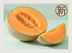 哈密分队