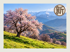 伊犁州分队