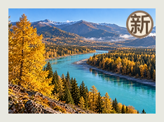 阿勒泰分队
