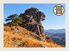 阳泉分队