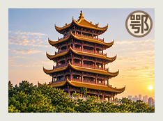 武汉中队