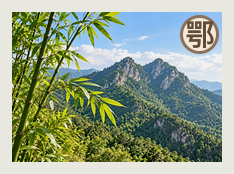 孝感中队