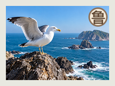 威海分队