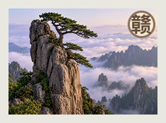 赣东北中队