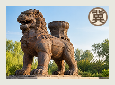 沧州分队