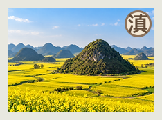 曲靖分队