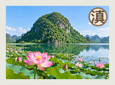 文山分队
