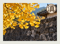 保山分队