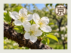 大兴分队