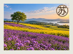 宿迁分队